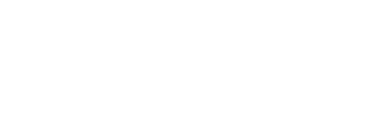 Logo Business Schmiede Schweiz AG