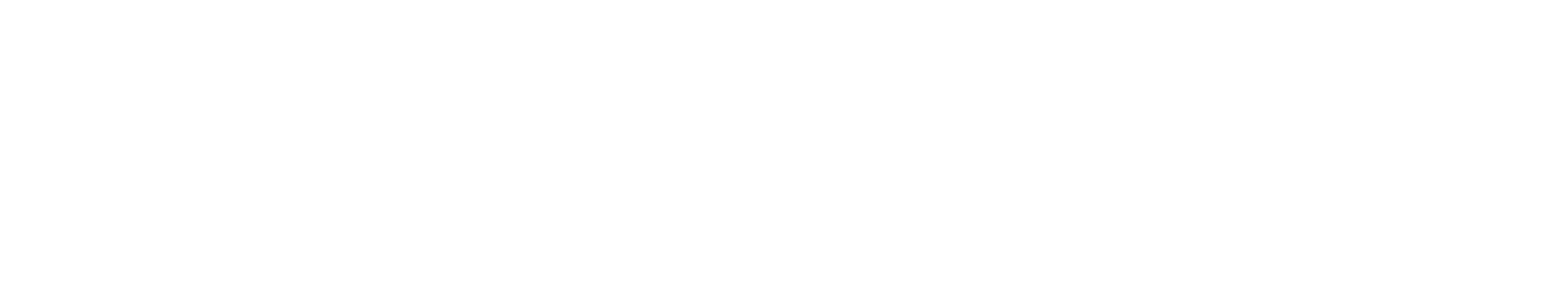 Logo Orion