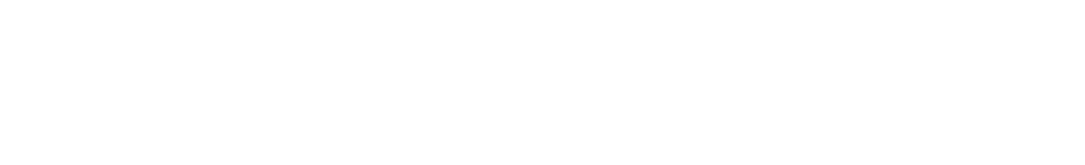 Logo PeakPunk